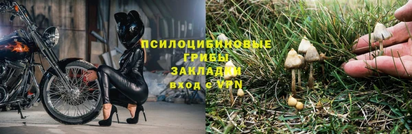 спиды Балабаново